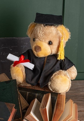 Graduation Bear