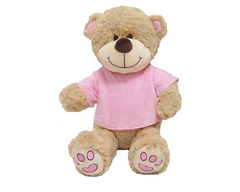 Tee Shirt Teddies Small