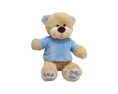 Tee Shirt Teddies Small
