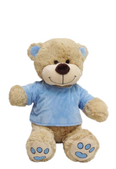 Tee Shirt Teddies Medium Size
