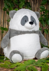 Panda Bear